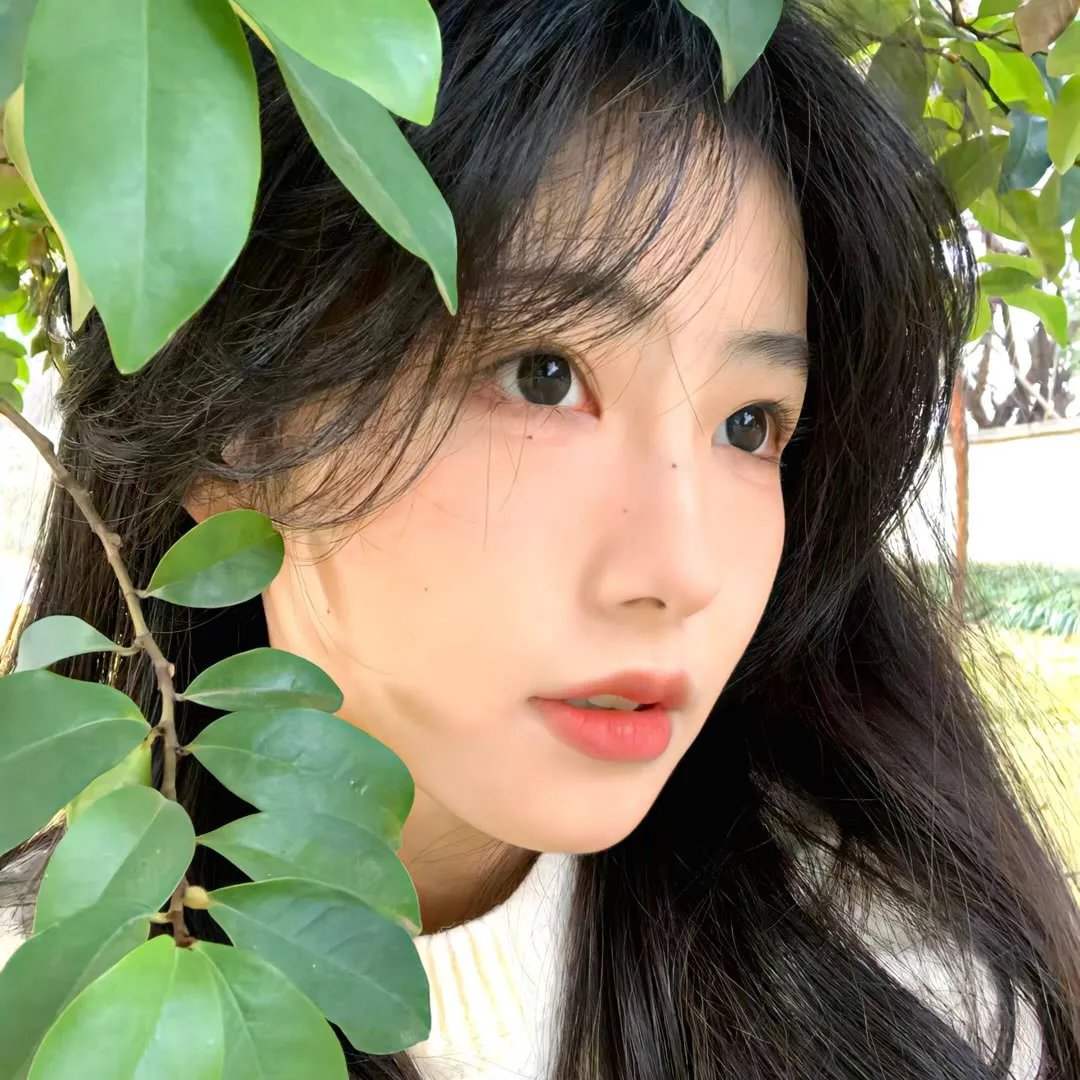 法不容情