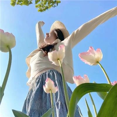 汪星人的奇思妙想